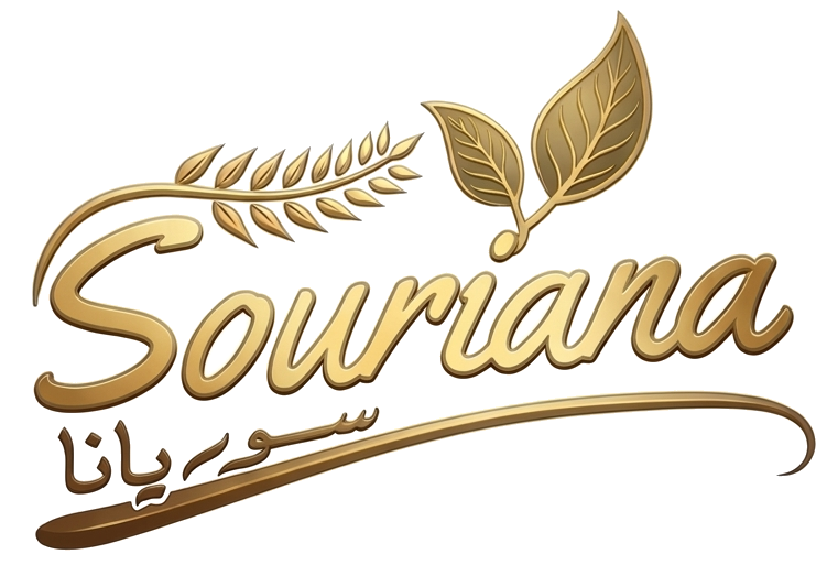 Souriana Imports Inc